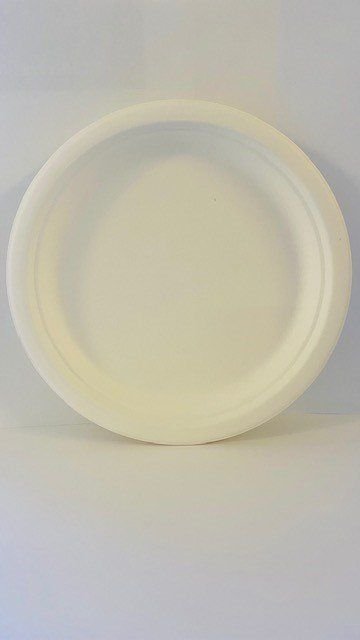 Dinner Plate - Biodegradable