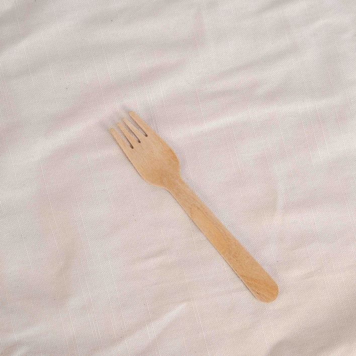 Biodegradable Fork