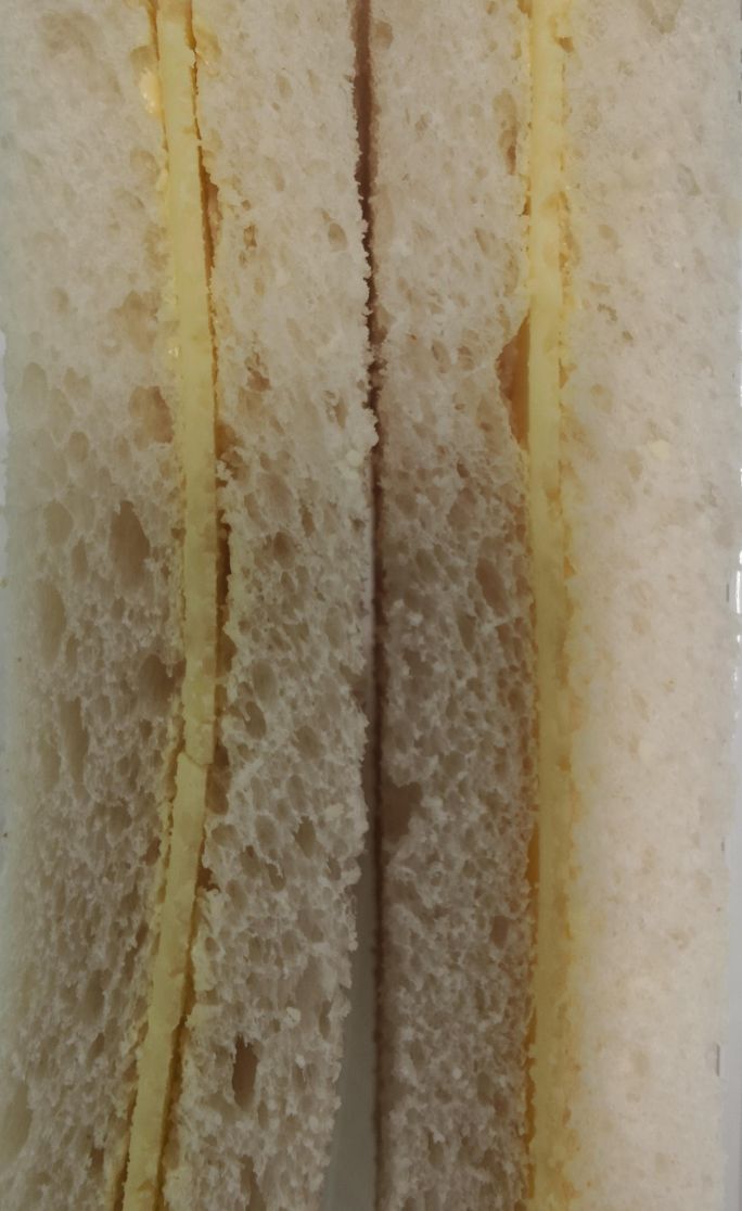 White Cheese Sandwich