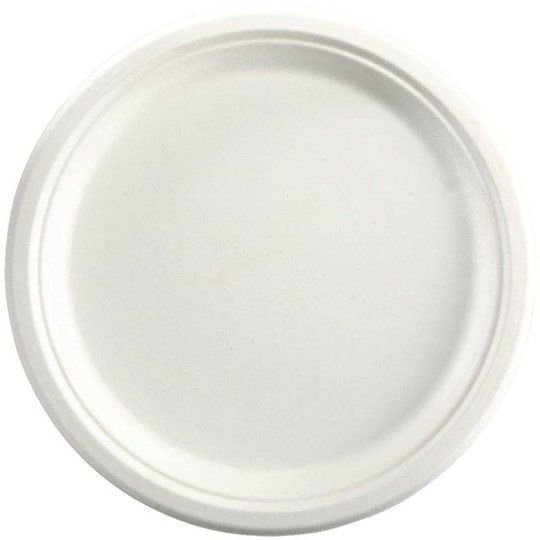 Disposable - Biodegradable Dinner Plate