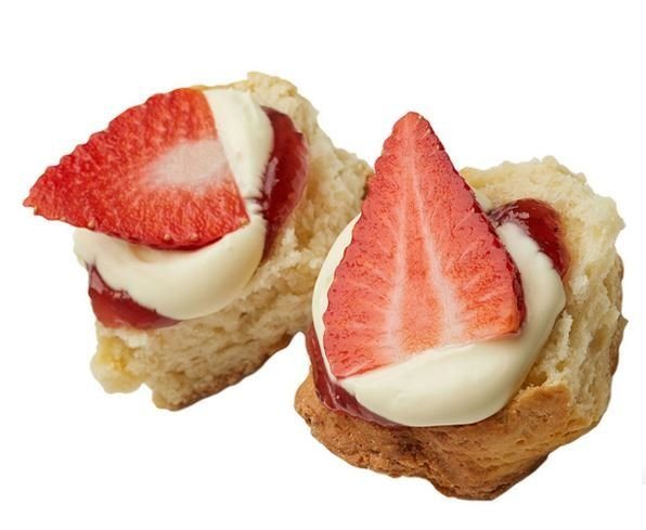 Mini Scone Sign Scone Mini