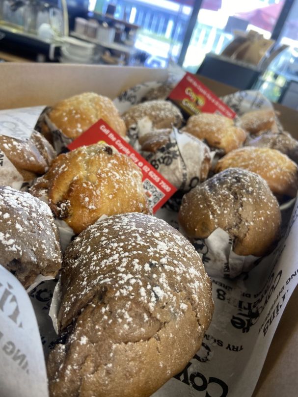 Baked Homemade Mixed Sweet Muffins