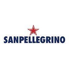 San Pellegrino Natural Mineral Water 500ml