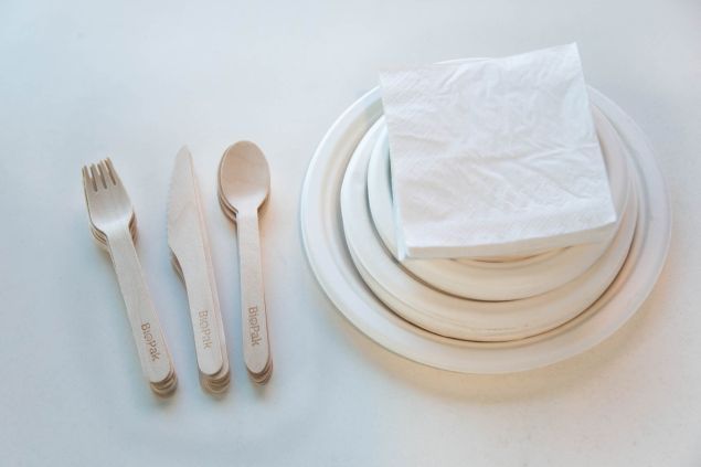 Disposables - Cutlery & Plates