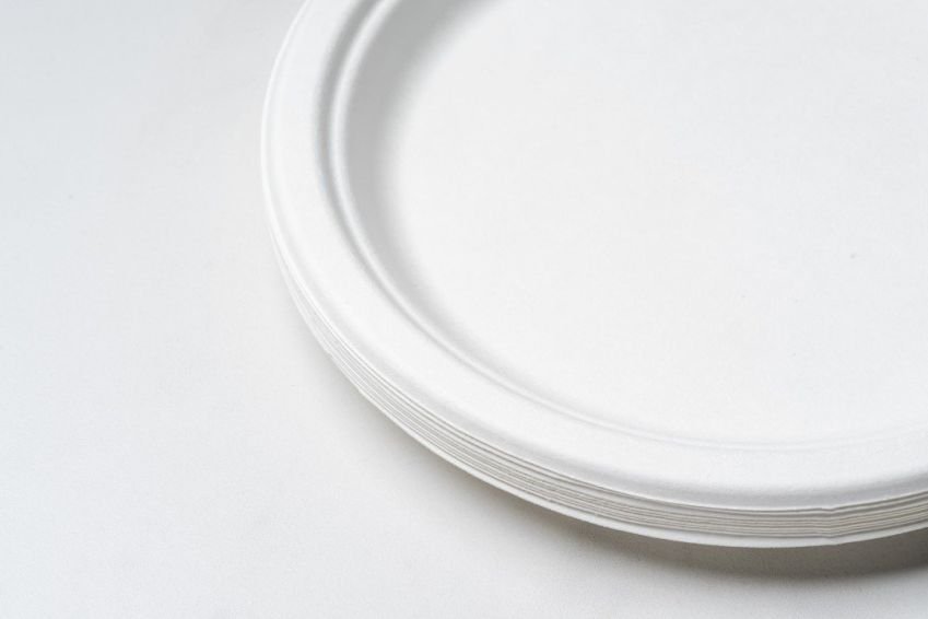 Sugar Cane Round Plates - 23cm (pack of 10)
