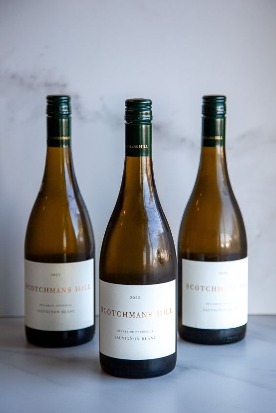 Scotchmans Hill Sauvignon Blanc (750ml Bottle)