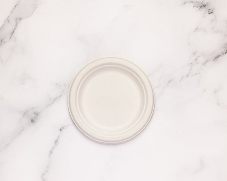 Disposable Plates - Small Round