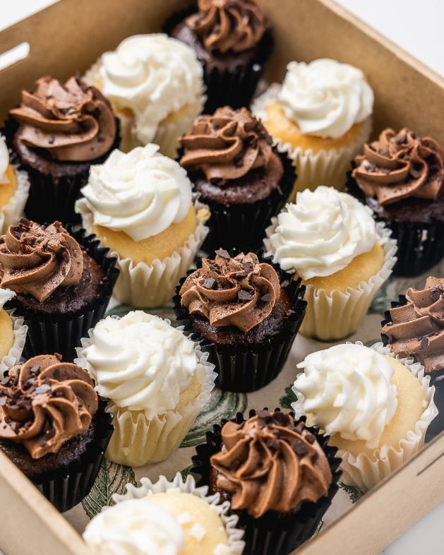 Mini Mixed Cupcake Box