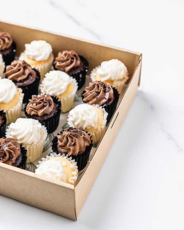 Mini Mixed Cupcake Box
