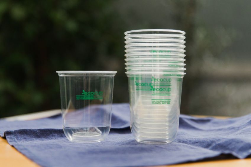 Disposable Cups (pack of 10)