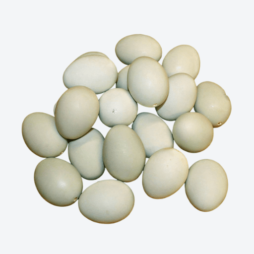 70g Duck Eggs Large (Doz)