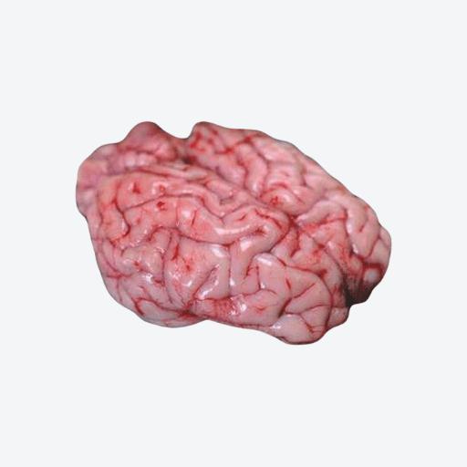 500g Lamb Brains (FROZEN) tray