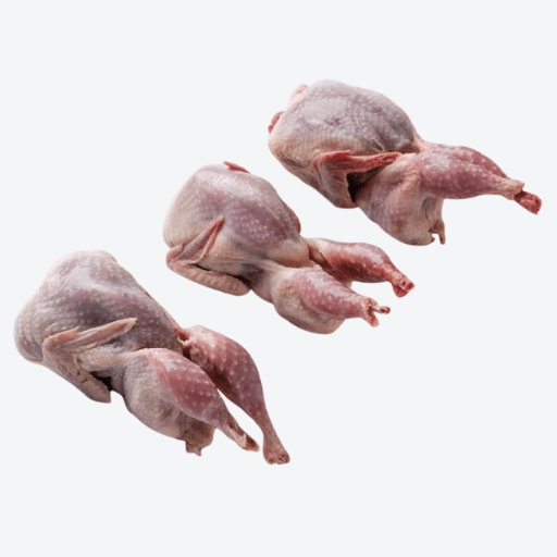 Quail Large (6 Per PKT / 36 Per Box)  **PREORDER - 2 Business Days