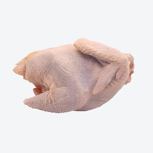 Spatchcock #6 (12 per box)  **PREORDER - 2 Business Days