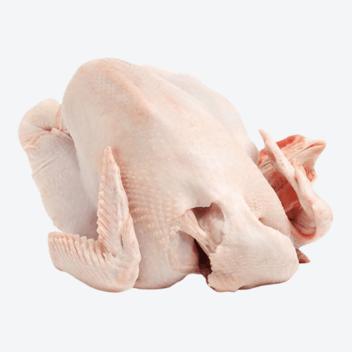 Spatchcock #5 (12 per box)  **PREORDER - 2 Business Days