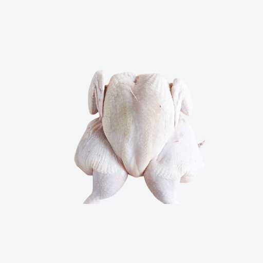 Spatchcock Butterfly #4 SMALL (5 per pack / 3 packs per box)  **PREORDER - 2 Business Days