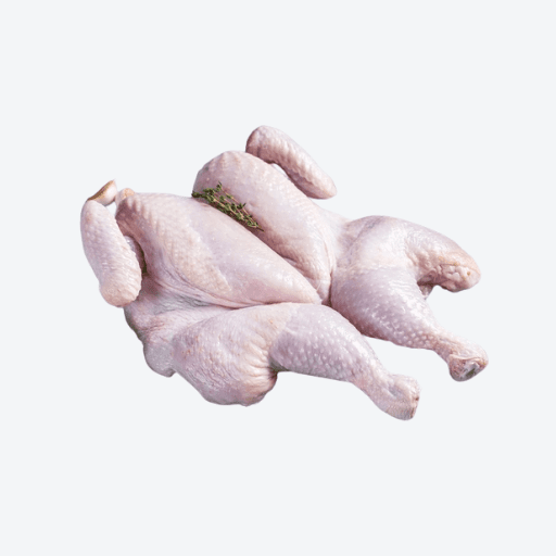 Spatchcock Butterfly #5 MEDIUM  (5 per pack / 3 packs per box)  **PREORDER - 2 Business Days