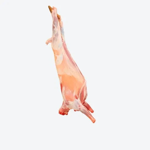 14-16kg Young Lamb Whole (SMALL SPRING)