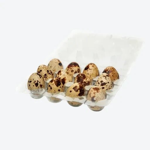 Quail Egg (12pkt)  **PREORDER - 2 Business Days