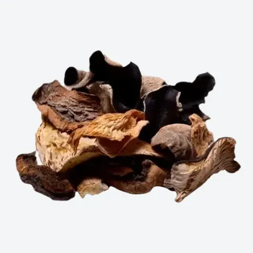 500g Dried Mixed Forest Mushrooms