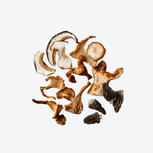 500g Dried Mixed Forest Mushrooms Italian Naturbosco