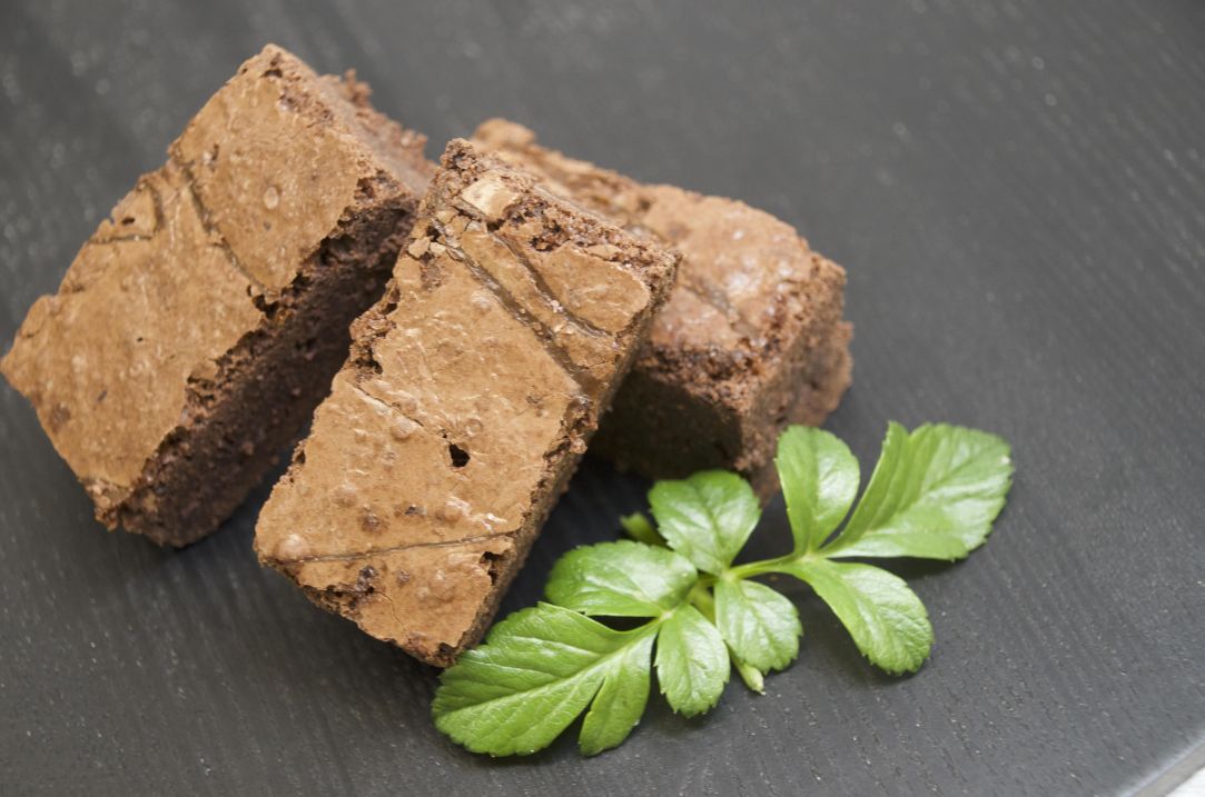 Chocolate brownie slice