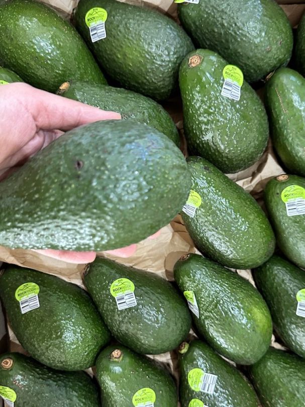 Avocados - Shepard (2pcs)