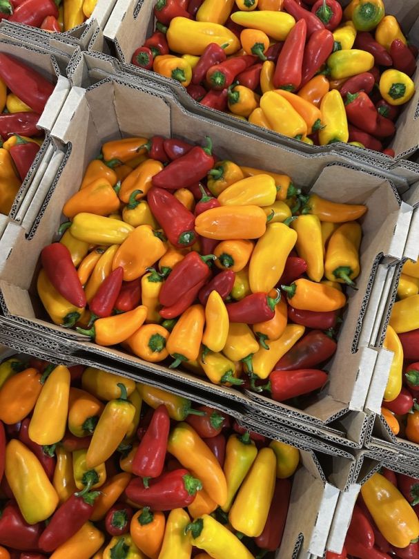 Baby Capsicum (250g)