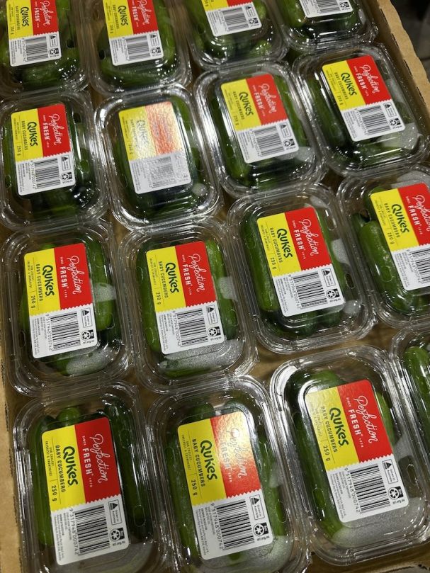 Baby Cucumbers (Punnet)