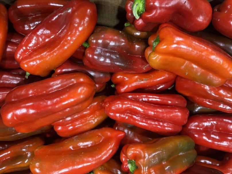Capsicum - Red (Each)