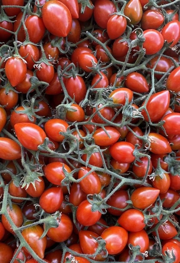 Cherry/Mini Roma Truss Tomatoes (500g)
