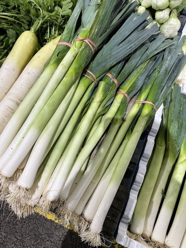 Leek (Each)
