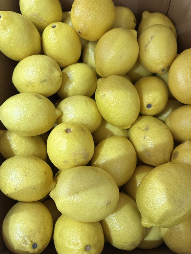 Lemons (Each)