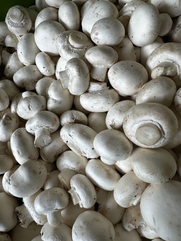 Mushroom - Button (250g)