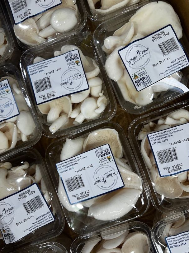Mushroom - Oyster (150g)
