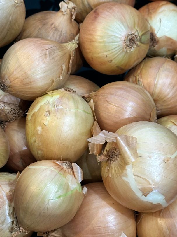 Onion - Brown (Each)