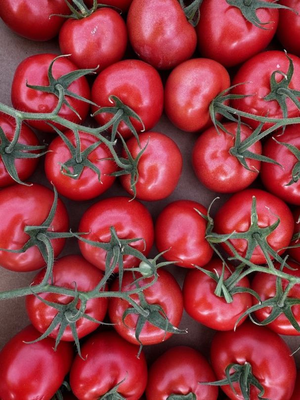 Truss Tomatoes (500g)