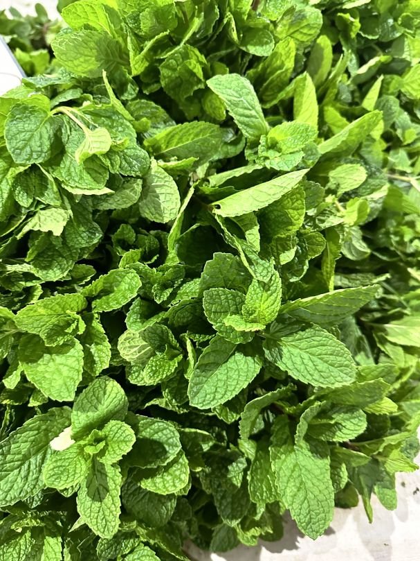 Mint (Bunch)