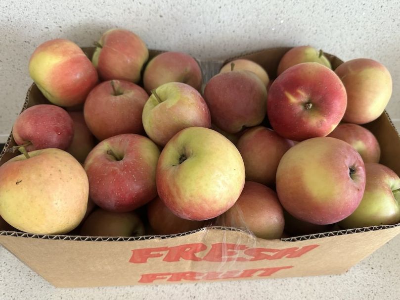 BULK BOX Apples - Royal Gala