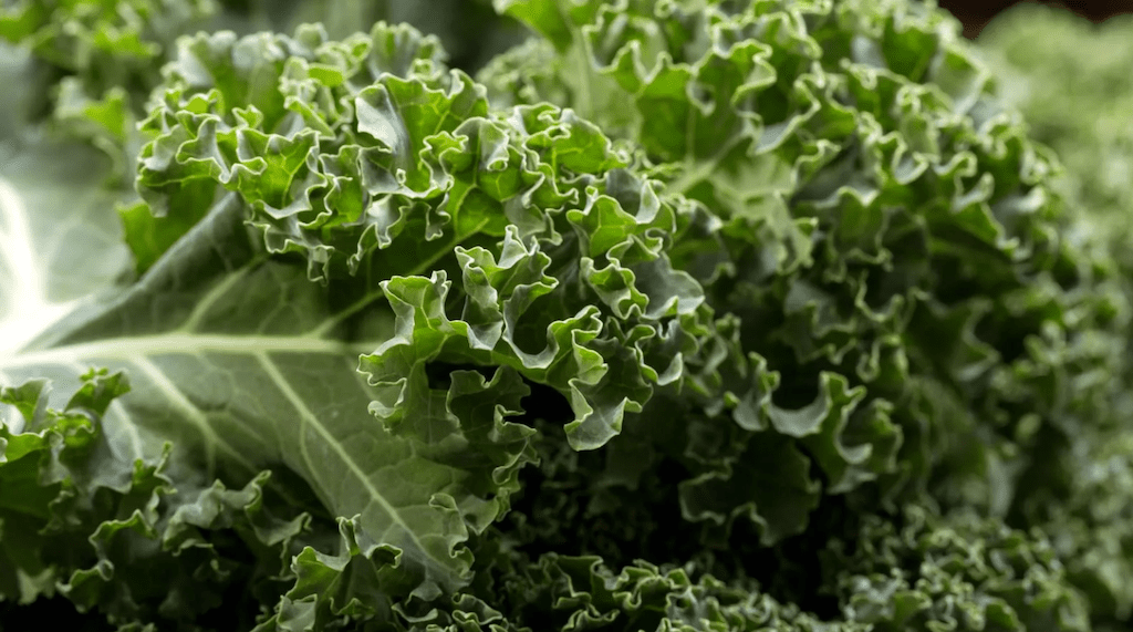 Kale (Bunch)