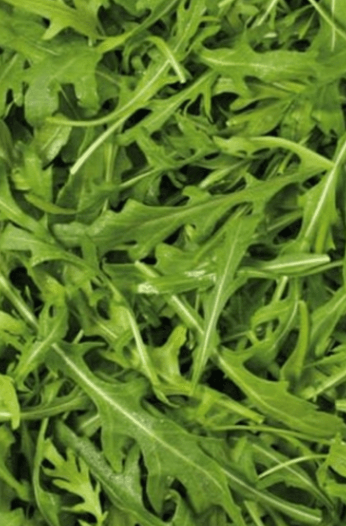 Rocket (100g)