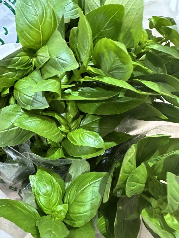 Basil (Bunch)