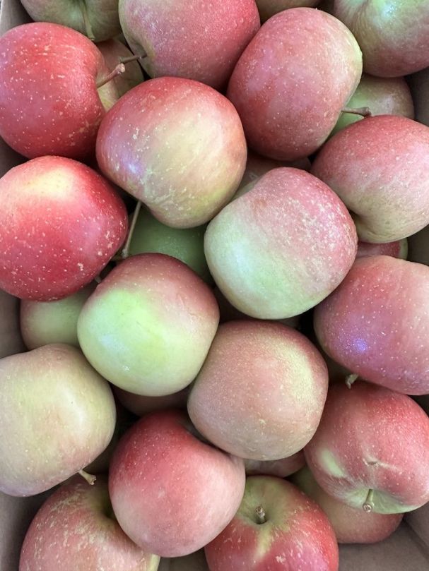 Apples - Fuji (min. 3pcs)