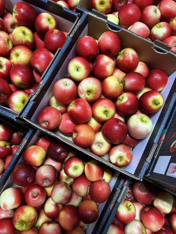 Apples - Missile (min. 4pcs)