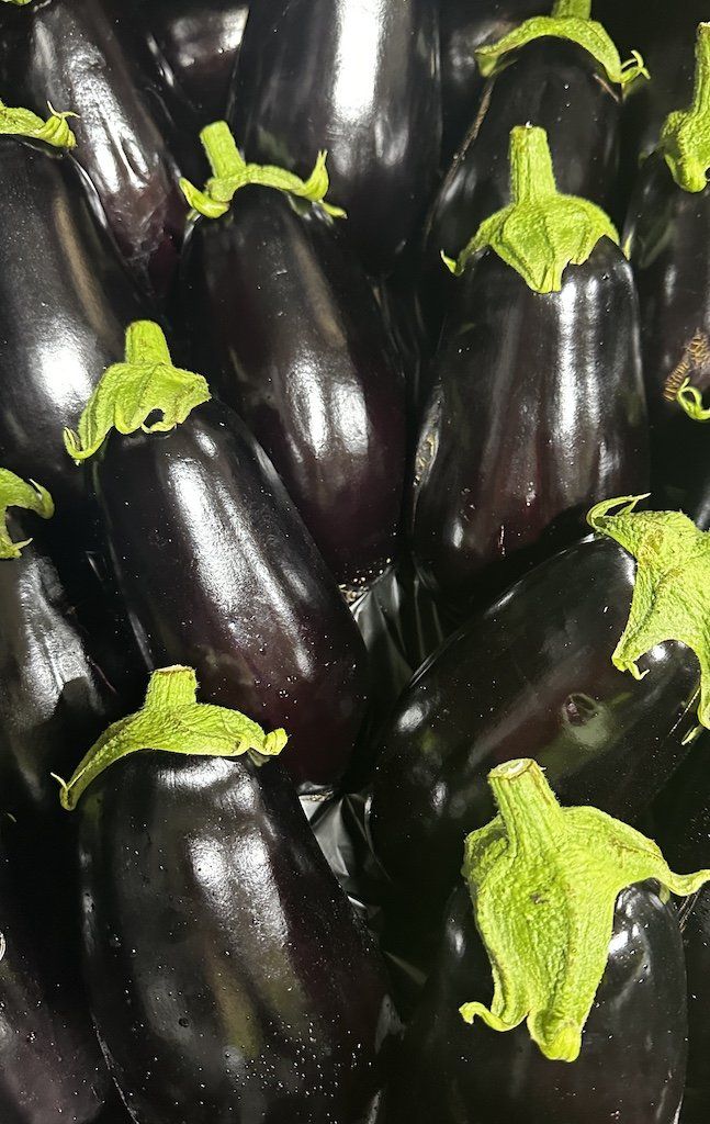 Eggplant (Each)