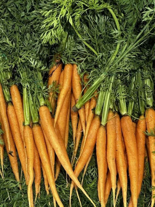 Dutch Carrots - Orange (Bunch)