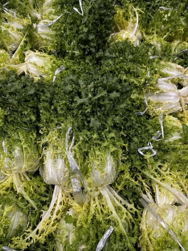 Endive (Bunch)