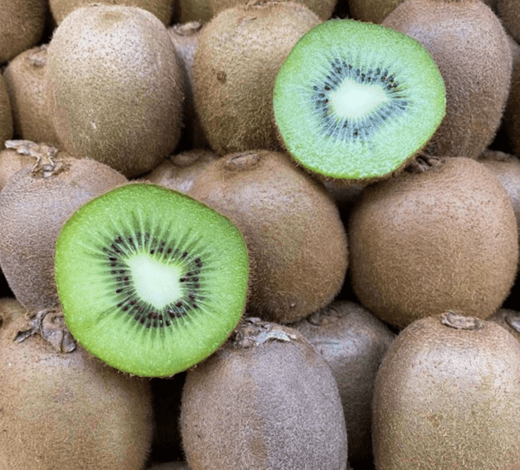 Kiwi - Green (3pcs)