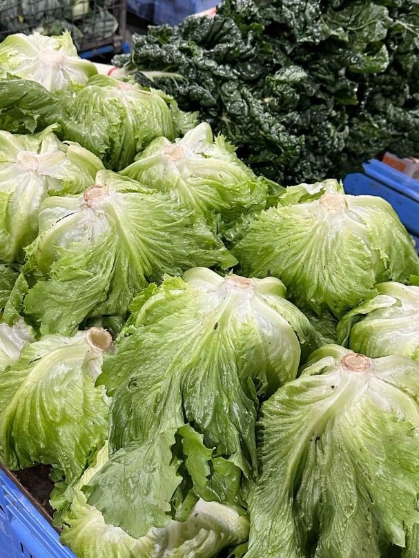 Lettuce - Iceberg (Each)
