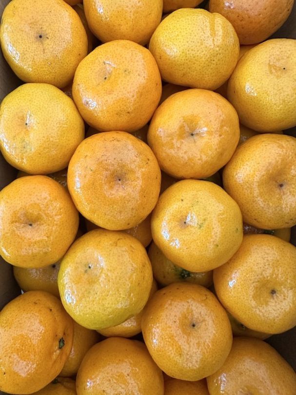 Mandarin - Imperial (4pcs)